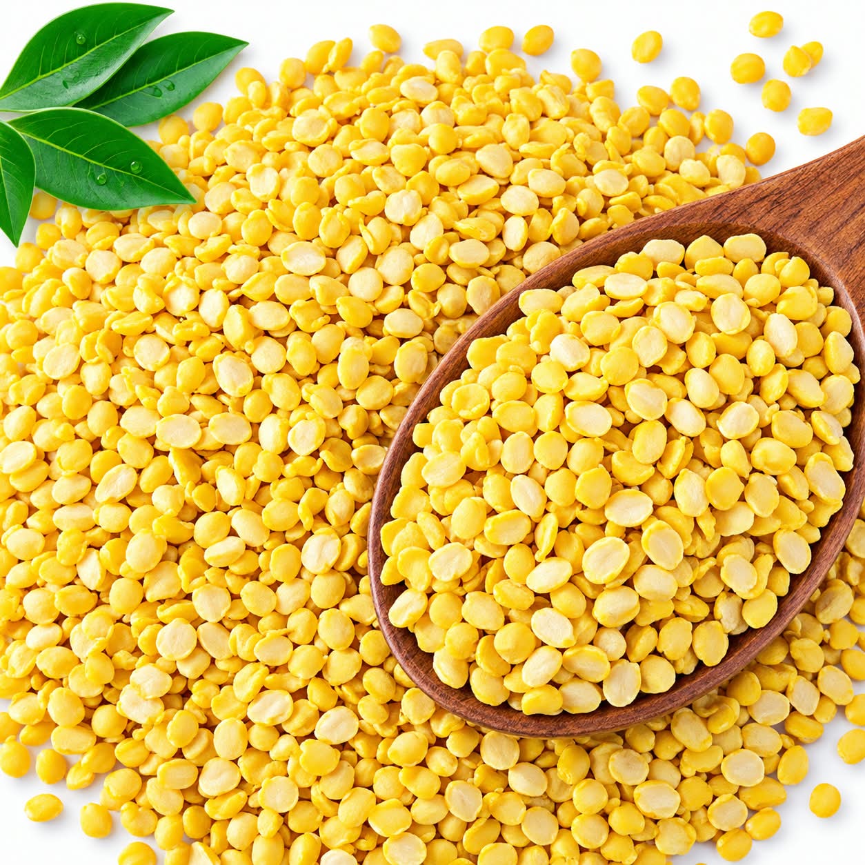 mug-dal